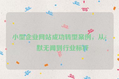 小型企業(yè)網(wǎng)站成功轉(zhuǎn)型案例，從默默無聞到行業(yè)標(biāo)桿