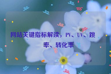 網(wǎng)站關鍵指標解讀，PV、UV、跳出率、轉(zhuǎn)化率