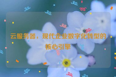 云服務(wù)器，現(xiàn)代企業(yè)數(shù)字化轉(zhuǎn)型的核心引擎