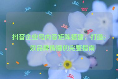 抖音企業(yè)號內容矩陣搭建，打造高效品牌傳播的完整指南