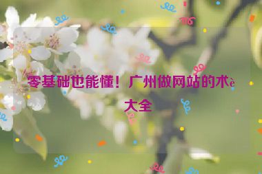 零基礎(chǔ)也能懂！廣州做網(wǎng)站的術(shù)語大全