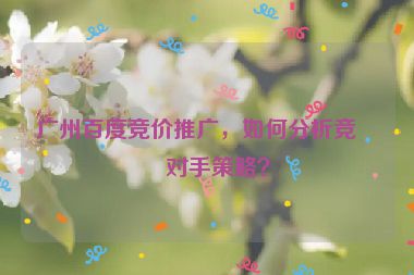 廣州百度競(jìng)價(jià)推廣，如何分析競(jìng)爭(zhēng)對(duì)手策略？