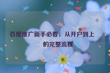百度推廣新手必看，從開戶到上線的完整流程