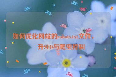 如何優(yōu)化網(wǎng)站的robots.txt文件，提升SEO與爬蟲控制