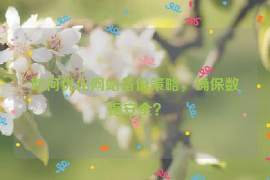 如何優(yōu)化網(wǎng)站備份策略，確保數(shù)據(jù)安全？