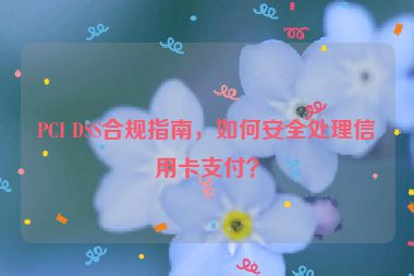 PCI DSS合規(guī)指南，如何安全處理信用卡支付？