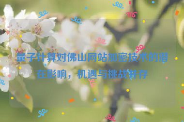 量子計(jì)算對(duì)佛山網(wǎng)站加密技術(shù)的潛在影響，機(jī)遇與挑戰(zhàn)并存