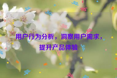 用戶行為分析，洞察用戶需求，提升產(chǎn)品體驗