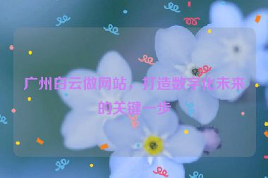 廣州白云做網(wǎng)站，打造數(shù)字化未來的關(guān)鍵一步
