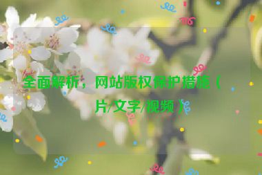 全面解析，網(wǎng)站版權(quán)保護措施（圖片/文字/視頻）