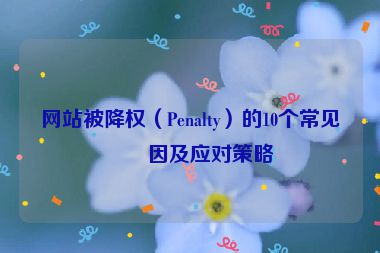 網(wǎng)站被降權(quán)（Penalty）的10個常見原因及應(yīng)對策略