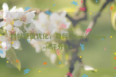 網(wǎng)站速度優(yōu)化，如何讓Google Pagespeed評(píng)分90+