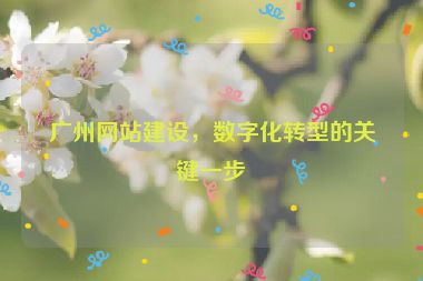 廣州網(wǎng)站建設，數(shù)字化轉型的關鍵一步