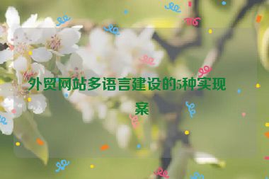 外貿(mào)網(wǎng)站多語言建設(shè)的5種實(shí)現(xiàn)方案