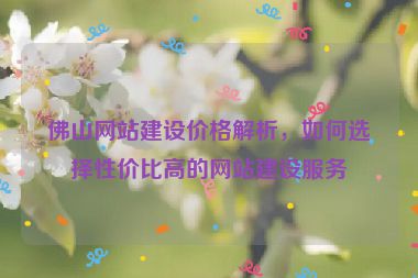 佛山網(wǎng)站建設(shè)價(jià)格解析，如何選擇性價(jià)比高的網(wǎng)站建設(shè)服務(wù)