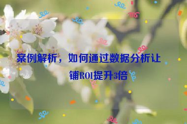 案例解析，如何通過數(shù)據(jù)分析讓店鋪ROI提升3倍