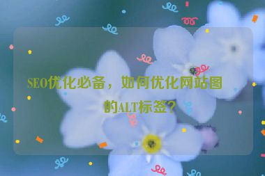 SEO優(yōu)化必備，如何優(yōu)化網(wǎng)站圖片的ALT標(biāo)簽？