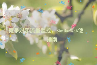 競爭對手流量監(jiān)控，SimilarWeb使用指南