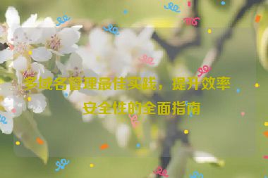 多域名管理最佳實踐，提升效率與安全性的全面指南