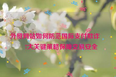 外貿(mào)網(wǎng)站如何防范國際支付欺詐？7大關(guān)鍵策略保障交易安全