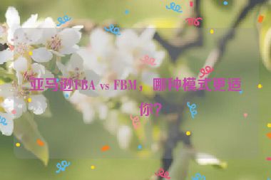 亞馬遜FBA vs FBM，哪種模式更適合你？