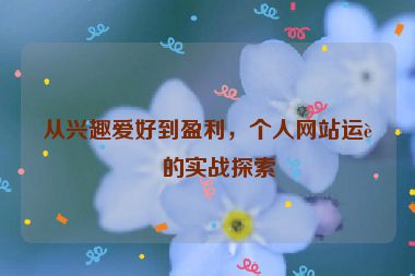 從興趣愛好到盈利，個(gè)人網(wǎng)站運(yùn)營的實(shí)戰(zhàn)探索