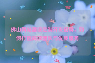 佛山網(wǎng)站建設(shè)定制開發(fā)招聘，如何打造高效團隊與優(yōu)質(zhì)服務(wù)