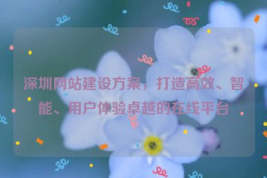 深圳網(wǎng)站建設(shè)方案，打造高效、智能、用戶體驗(yàn)卓越的在線平臺(tái)