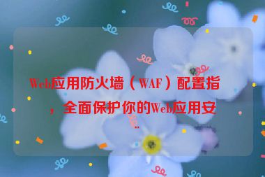 Web應(yīng)用防火墻（WAF）配置指南，全面保護(hù)你的Web應(yīng)用安全