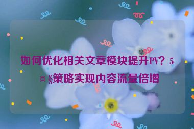 如何優(yōu)化相關(guān)文章模塊提升PV？5大策略實(shí)現(xiàn)內(nèi)容流量倍增