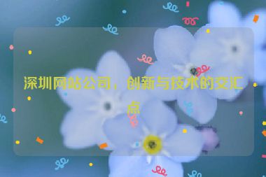 深圳網(wǎng)站公司，創(chuàng)新與技術(shù)的交匯點(diǎn)