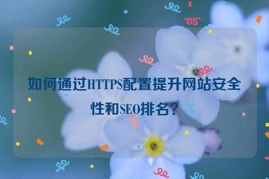 如何通過HTTPS配置提升網(wǎng)站安全性和SEO排名？