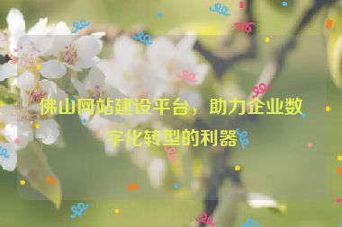 佛山網(wǎng)站建設(shè)平臺，助力企業(yè)數(shù)字化轉(zhuǎn)型的利器