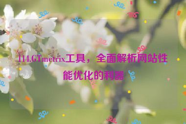114.GTmetrix工具，全面解析網(wǎng)站性能優(yōu)化的利器
