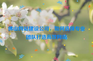 佛山網(wǎng)站建設(shè)公司，如何選擇專業(yè)團隊打造高效網(wǎng)站