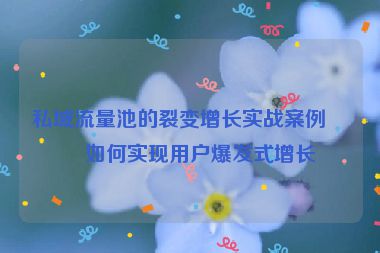 私域流量池的裂變增長實戰(zhàn)案例，如何實現(xiàn)用戶爆發(fā)式增長