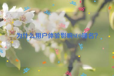 為什么用戶體驗影響SEO排名？