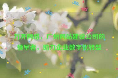 萬(wàn)齊網(wǎng)絡(luò)，廣州網(wǎng)站建設(shè)公司的領(lǐng)軍者，助力企業(yè)數(shù)字化轉(zhuǎn)型