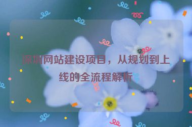 深圳網(wǎng)站建設(shè)項(xiàng)目，從規(guī)劃到上線的全流程解析