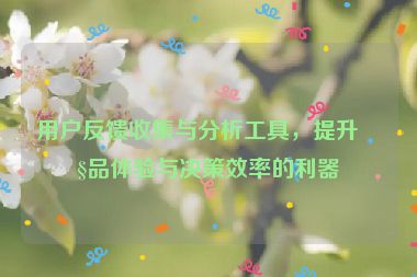 用戶反饋收集與分析工具，提升產(chǎn)品體驗(yàn)與決策效率的利器