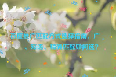 百度推廣匹配方式選擇指南，廣泛、短語、精確匹配如何選？