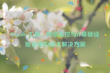 Paessler工具，網(wǎng)絡(luò)監(jiān)控與IT基礎(chǔ)設(shè)施管理的強(qiáng)大解決方案