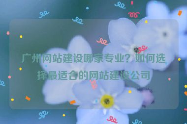 廣州網(wǎng)站建設哪家專業(yè)？如何選擇最適合的網(wǎng)站建設公司