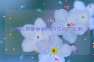 為什么定期更新網(wǎng)站軟件如此重要？