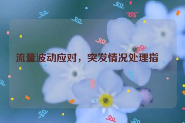 流量波動(dòng)應(yīng)對(duì)，突發(fā)情況處理指南