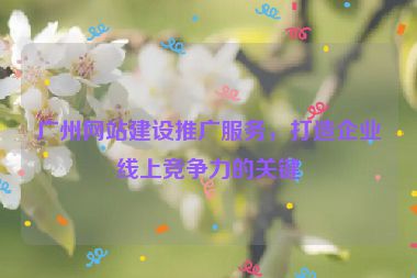 廣州網(wǎng)站建設(shè)推廣服務(wù)，打造企業(yè)線上競(jìng)爭(zhēng)力的關(guān)鍵