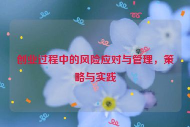 創(chuàng)業(yè)過程中的風險應對與管理，策略與實踐
