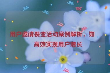 用戶邀請裂變活動案例解析，如何高效實現(xiàn)用戶增長