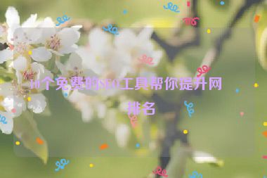 10個免費(fèi)的SEO工具幫你提升網(wǎng)站排名