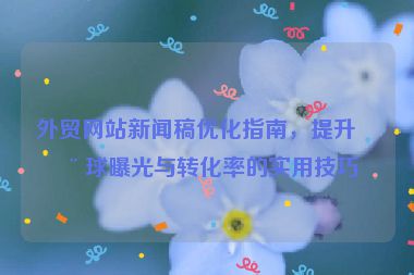 外貿(mào)網(wǎng)站新聞稿優(yōu)化指南，提升全球曝光與轉(zhuǎn)化率的實用技巧
